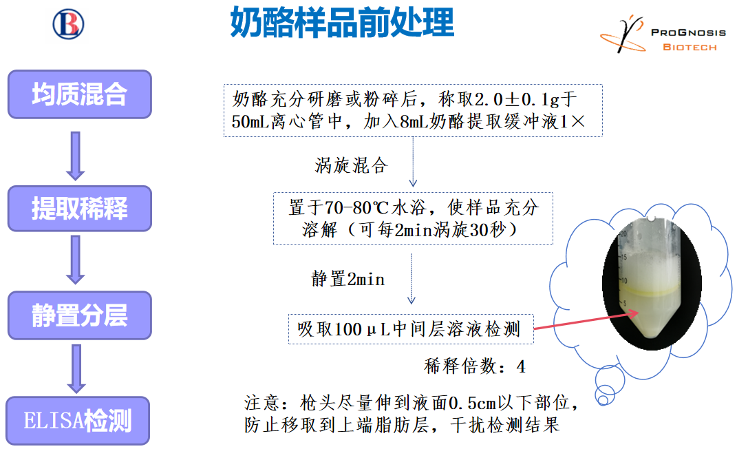 黃曲霉毒素M1的檢測(cè)