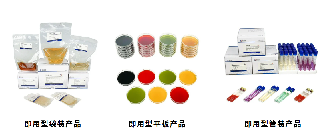 北京陸橋邀請您參加第六屆食品微生物標準與技術應用大會 (2025年5月·北京) 北京陸橋邀請您參加第六屆食品微生物標準與技術應用大會 (2025年5月·北京)