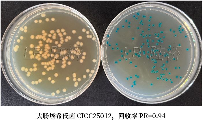 GB 4789.38-2025《食品安全國家標(biāo)準(zhǔn) 食品微生物學(xué)檢驗 大腸埃希氏菌計數(shù)》解讀 GB 4789.38-2025《食品安全國家標(biāo)準(zhǔn) 食品微生物學(xué)檢驗 大腸埃希氏菌計數(shù)》解讀