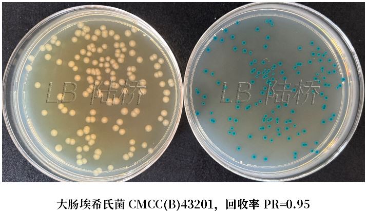 GB 4789.38-2025《食品安全國家標(biāo)準(zhǔn) 食品微生物學(xué)檢驗 大腸埃希氏菌計數(shù)》解讀 GB 4789.38-2025《食品安全國家標(biāo)準(zhǔn) 食品微生物學(xué)檢驗 大腸埃希氏菌計數(shù)》解讀