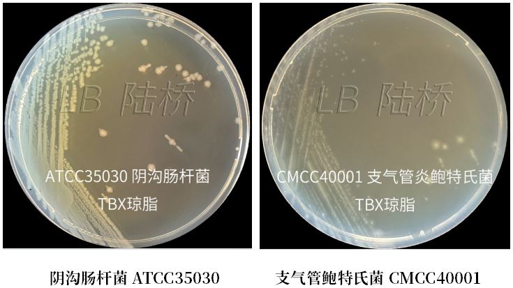 GB 4789.38-2025《食品安全國家標(biāo)準(zhǔn) 食品微生物學(xué)檢驗 大腸埃希氏菌計數(shù)》解讀 GB 4789.38-2025《食品安全國家標(biāo)準(zhǔn) 食品微生物學(xué)檢驗 大腸埃希氏菌計數(shù)》解讀