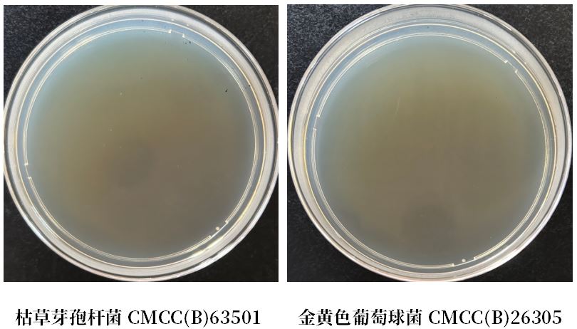 GB 4789.38-2025《食品安全國家標(biāo)準(zhǔn) 食品微生物學(xué)檢驗 大腸埃希氏菌計數(shù)》解讀 GB 4789.38-2025《食品安全國家標(biāo)準(zhǔn) 食品微生物學(xué)檢驗 大腸埃希氏菌計數(shù)》解讀