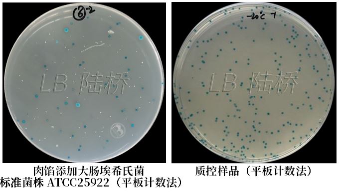 GB 4789.38-2025《食品安全國家標(biāo)準(zhǔn) 食品微生物學(xué)檢驗 大腸埃希氏菌計數(shù)》解讀 GB 4789.38-2025《食品安全國家標(biāo)準(zhǔn) 食品微生物學(xué)檢驗 大腸埃希氏菌計數(shù)》解讀